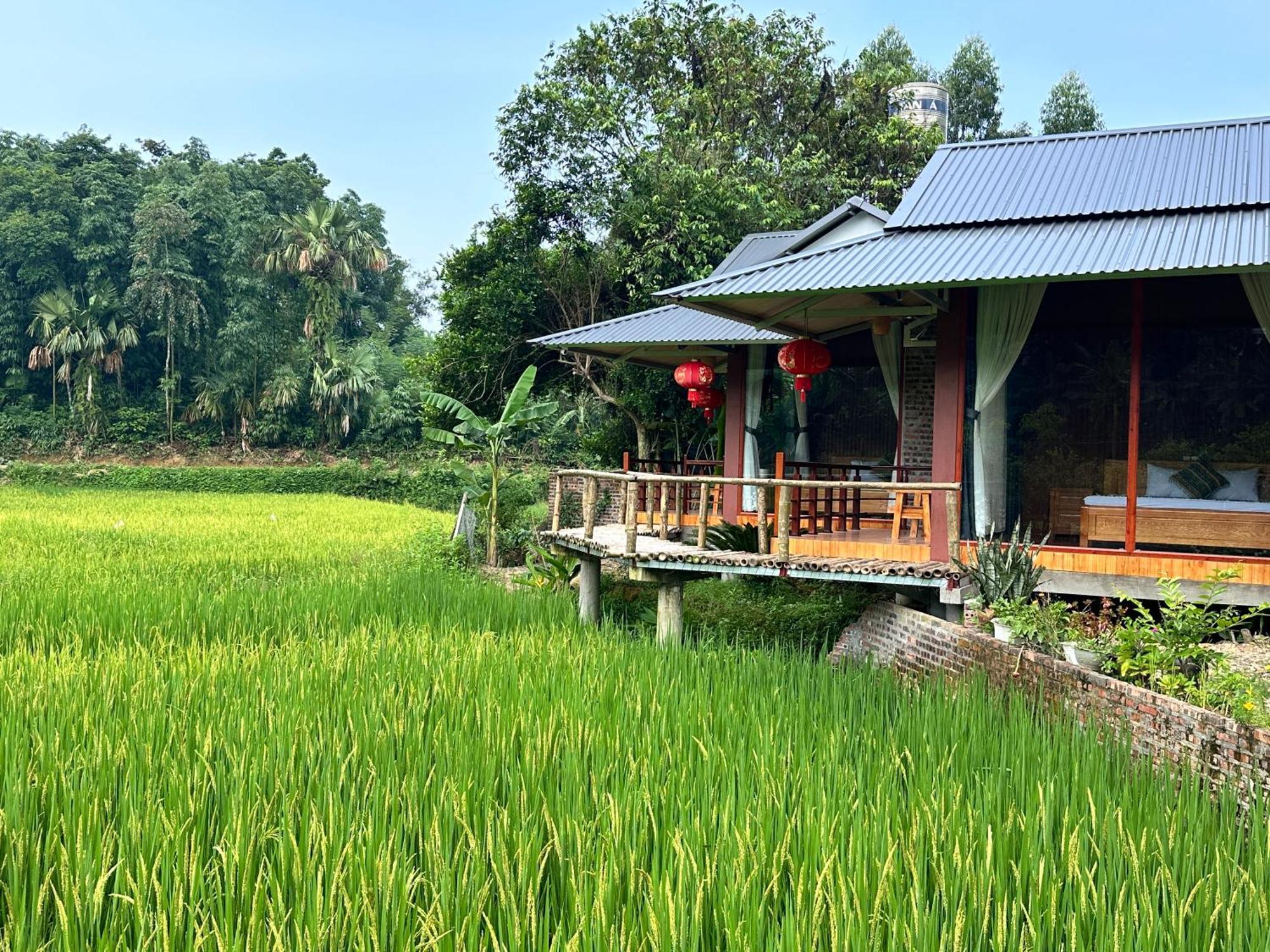Vulinh Family -Homestay Yen Binh Экстерьер фото